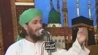 Syed ne Karbala Main Waday Nibha Diye hain  Waqar Attari [upl. by Quiteria]