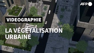 Comprendre la végétalisation urbaine  AFP [upl. by Jehiah290]