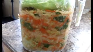 RV Living 36  Making Sauerkraut raw amp saltfree [upl. by Disharoon]