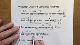 Wheelock 5 Sententiae Antiquae [upl. by Cindy]