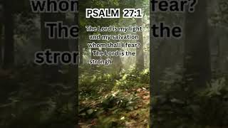 PSALM 271  The Lord is My Light and Salvation I Inspirational Bible Verse [upl. by Odnesor]