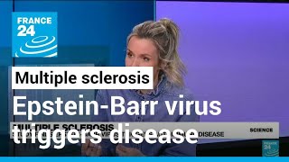 Multiple sclerosis Study finds EpsteinBarr virus triggers autoimmune disease • FRANCE 24 English [upl. by Modie]