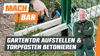 Gartentor aufstellen und Torpfosten betonieren  OBI [upl. by Ahseirej]