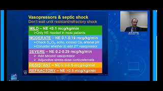 Vasopressors in septic shock 2021 ESICM webinars [upl. by Mcintosh]