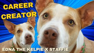 Edna the Kelpie X Staffordshire Bull Terrier  Told by Andy dog dogs doglover pets pet [upl. by Sterling]