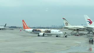 Some Nice Plane Spotting✈️At Pearson AirportTerminal 3 [upl. by Nasaj689]