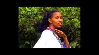 Ethiopian Amharic MusicGenet Masresha wollo [upl. by Tessil]