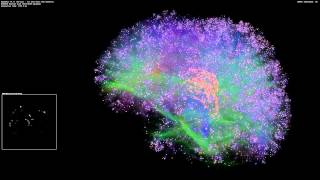 Artificial Brain Simulation  Thalamocortical System 8 Million Neurons  14 Billion Synapses [upl. by Yeslek]