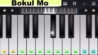 Ye Jo Des Hai Tera HINDI Swades Piano Notes  Android Mobile piano tutorial [upl. by Solange]