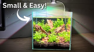 Beginner Nano Shrimp Tank Easy NoFilter 2 gallon Setup [upl. by Hairej]