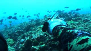 HKD 12 quotLow N Beholdquot Spearfishing Hawaii [upl. by Annawik145]