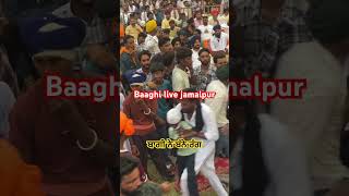 baaghisong baaghi baaghi baaghisong punjabisong baaghi2songs baaghisong newmusic punjabi [upl. by Lav194]