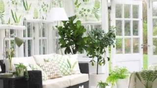 How to create a pretty conservatory [upl. by Brice]