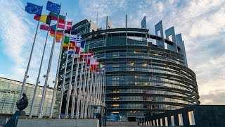 El Parlamento Europeo pidió que se levantara la restricción de los ataques contra Rusia [upl. by Enomahs]