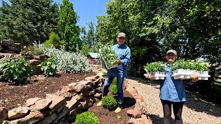 Planting Big Annual Color Around My Parent’s Pool amp Back Property Update 🧡💙💛  Garden Answer [upl. by Opaline]