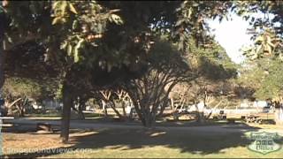 CampgroundViewscom  Carpinteria State Beach Campground Carpinteria California CA [upl. by Amari]