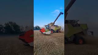 Claas Trion 660 claas trion 660 combine harvest agriculture [upl. by Allimaj324]