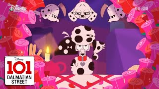 Warding Off The Portia Clip  Crushed Out  101 Dalmatian Street [upl. by Ayanaj]