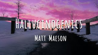 Hallucinogenics  Matt Maeson Lyrics [upl. by Xilef]