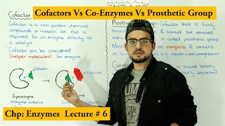 Enzymes Cofactors  Coenzyme vs prosthetic group  Apoenzyme Vs holoenzyme [upl. by Ativel]