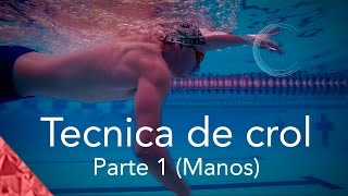 Como nadar crol correctamente Parte 1 Técnica Manos Estilo libre natación [upl. by Domph689]