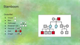 Stamboom erfelijkheid [upl. by Eirrod]
