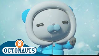 Octonauts  Icy Adventures  Cartoons for Kids  Underwater Sea Education [upl. by Michey]