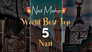 lofi naat slowed and reverb naat hassan ullah hussaini  skislamicstatus [upl. by Eerbua286]