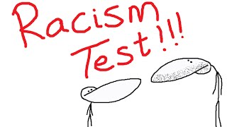 Racism Test  See How Racist You Really Are [upl. by Annohs248]