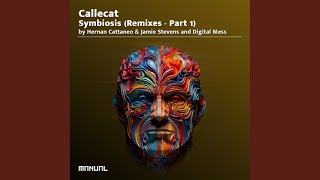 Beyond Perceptions Hernan Cattaneo amp Jamie Stevens Remix [upl. by Royall]