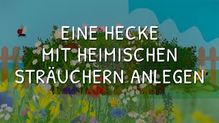 Eine Hecke aus heimischen Sträuchern anlegen [upl. by Cosetta673]