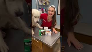 Heartworm Preventatives for your pets Shop now petmeds viral veterinarian heartwormsurvivor [upl. by Serena307]