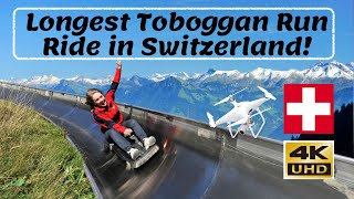 Longest Summer Toboggan Ride in Switzerland  4K Video [upl. by Felecia]