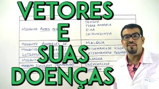 Plantão X  Vetores e Suas Doenças [upl. by Ahsenal938]