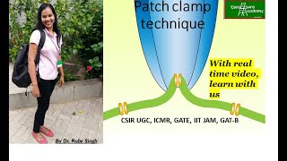 Patch Clamp Technique  Action Potential [upl. by Einhpets344]