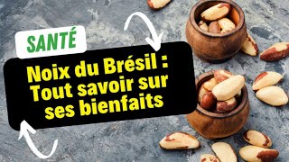 Noix du Brésil  Tout savoir sur ses bienfaits [upl. by Elok]