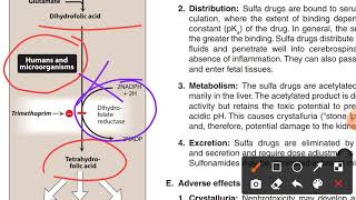 Quinolones and Folate Antagonist Part 2Last [upl. by Millford]