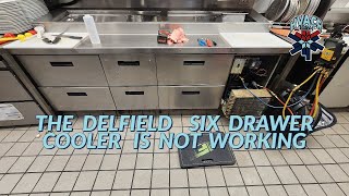 THE DELFIELD SIX DRAWER COOLER IS NOT WORKING [upl. by Mcwherter810]