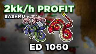 Bashmu  2kk PROFIT 43kk Raw  ED 1060  Tibia  Salt Caves [upl. by Nnaxor382]