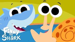 Shelly The Snail  Kids Counting Song  Finny The Shark [upl. by Naomi293]