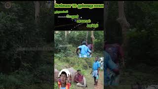 சித்திரகுல்லர்கள்chithra kullargalchennaimixturetrending [upl. by Alor]