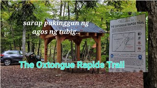 The Oxtongue Rapids Trail Nakakawala ng stress [upl. by Marentic360]