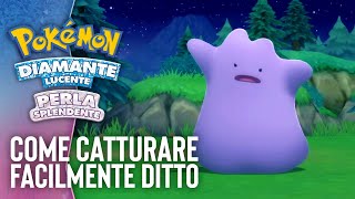 Pokémon Diamante Lucente e Pokémon Perla Splendente sono disponibili ORA [upl. by Maggy]