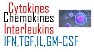 Chemokines and cytokines immunology [upl. by Aubine]