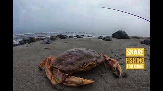 Snare Fishing for Crabs in the Surf [upl. by Aihsenat280]