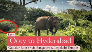 Ooty to Hyderabad by Road  Day 5  Gudalur Route  Bandipur  via Bangalore amp Lepakshi Temple [upl. by Rowen837]