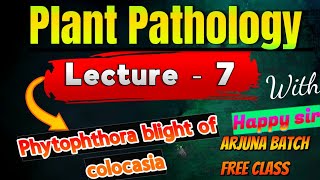 lecture7 Phytophthora blight of colocasia  Phytophthora blight  Plant pathology 5th semester [upl. by Salvucci]