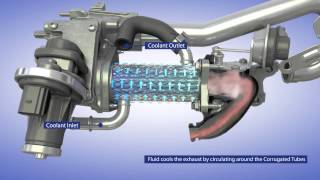 BorgWarner EGR System for Passenger Vehicle Applications [upl. by Atteselrahc369]