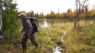 Backpacking in Swedish Lapland  Dellikälven [upl. by Bonnes]