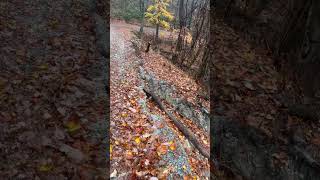 landslide took the shoulder of Roseboro road chiefsholsters helene helendamage hiking wnc [upl. by Suzie]